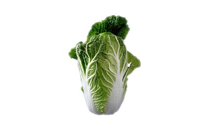 Cover_gracz______________chinese-cabbage-74360_640