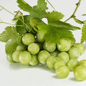 Tip_thumb_gracz______________grapes-582207_1280